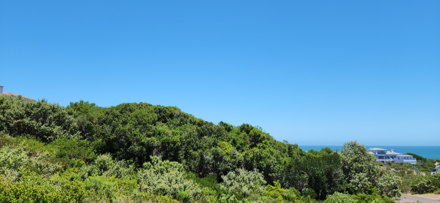 0 Bedroom Property for Sale in Cola Beach Western Cape